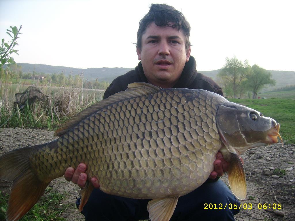 cristi - ssa504071.JPG